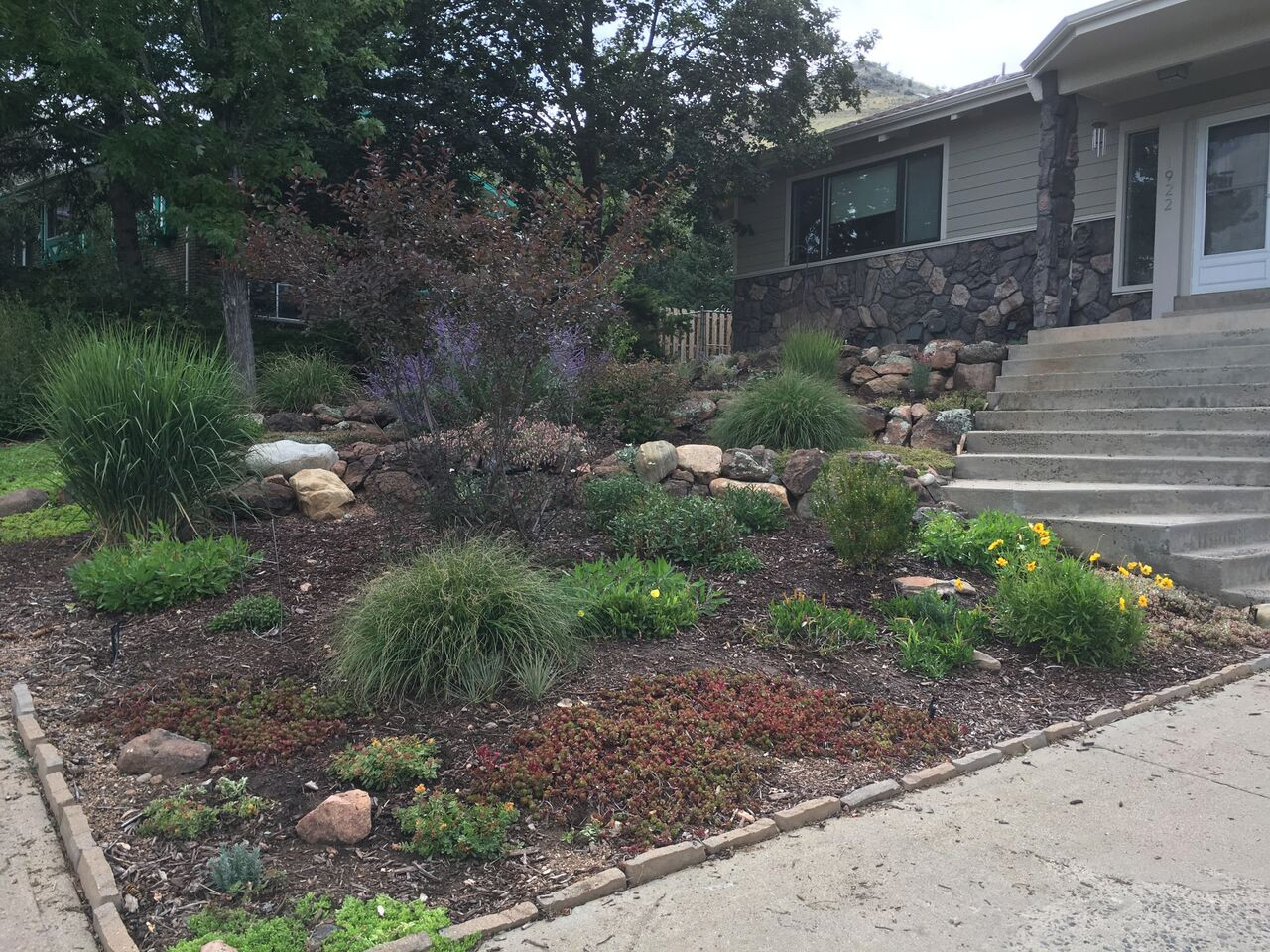 Front Yard Landscape Designs