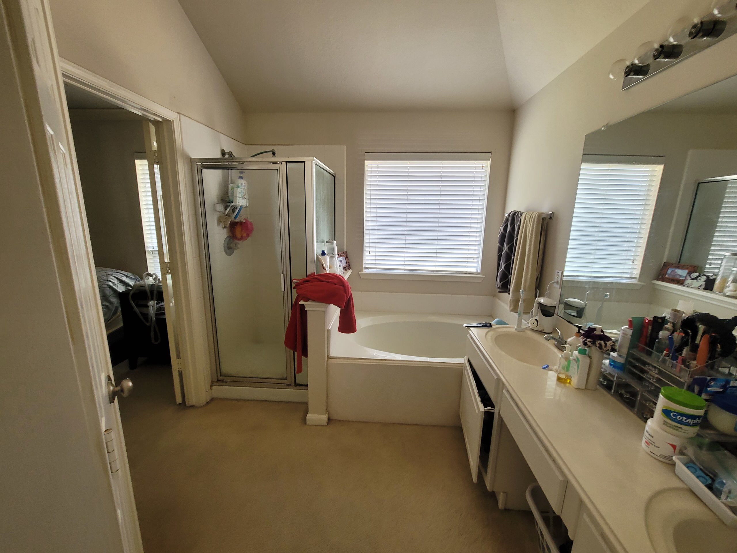 Deer Brook - Master and Hall Bathroom Remodel