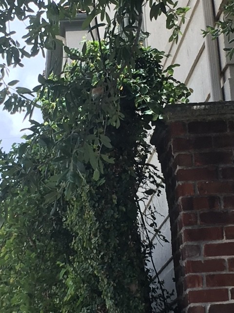 Fence Gaps (between Brick pillars and Wood fence) Closed Tight & Handsomely