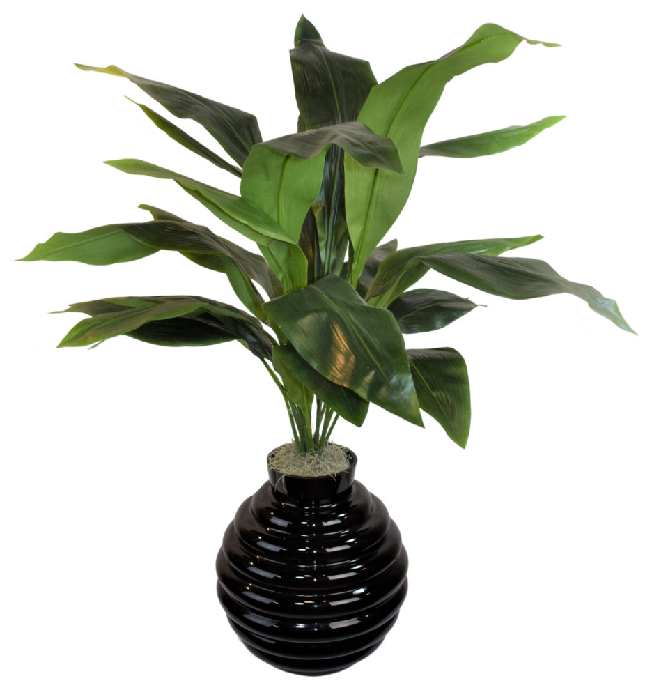 Aspidistra Plant Contemporary Artificial Plants And Trees by