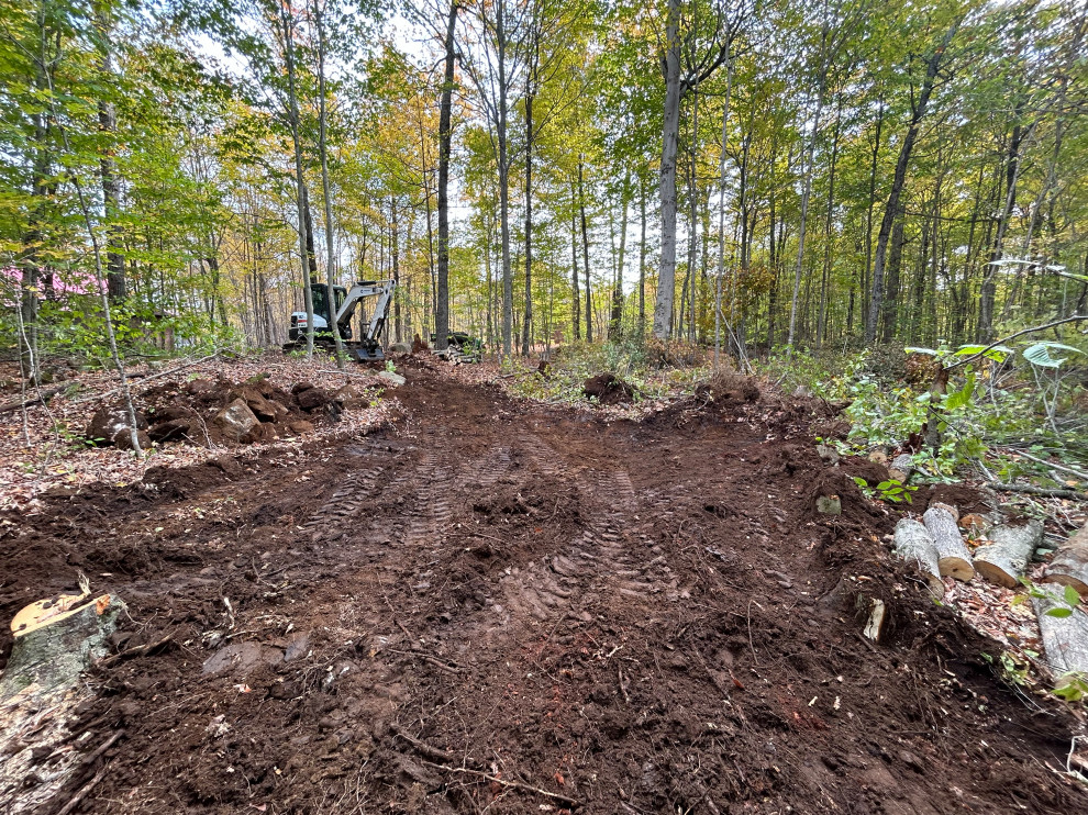 Property Maintenance and Landscaping