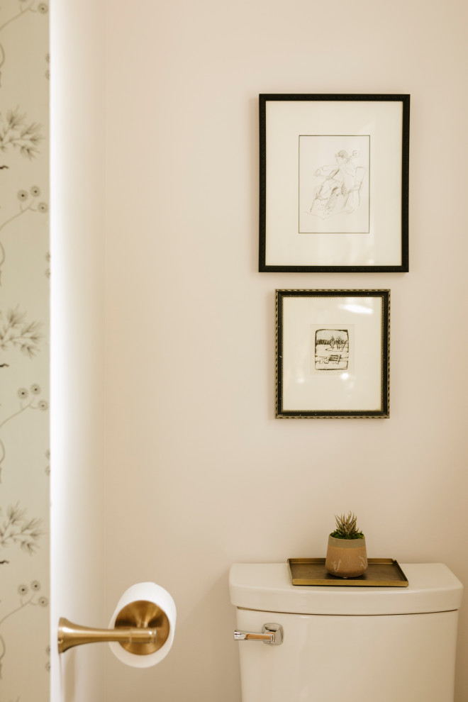 Inspiration for a transitional home design remodel in Minneapolis