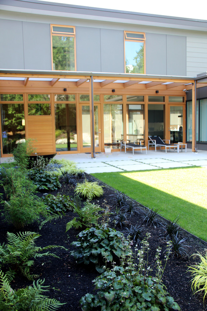 Modern Natural, Mercer Island - Modern - Landscape - Seattle - by Bliss Garden Design, LLC on Bliss Garden Design
 id=42449