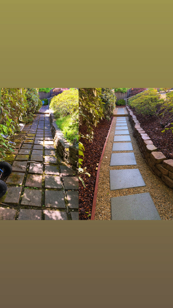 Complete Backyard & Landscape Renovation