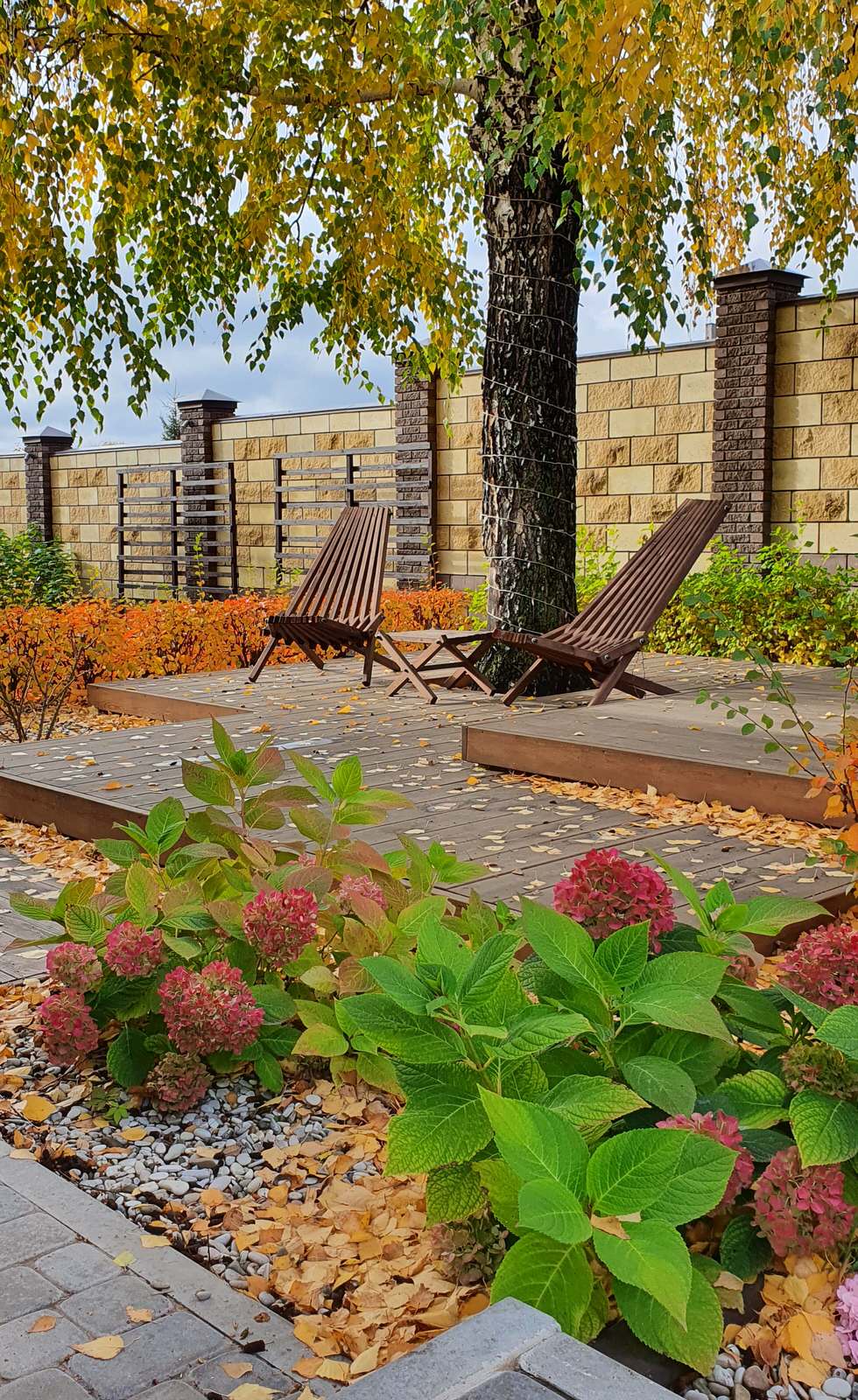 Сад с розами