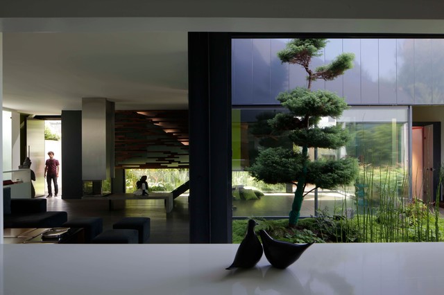 Plantas y árboles para diseñar el perfecto jardín interior