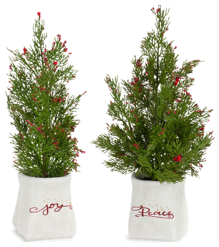 Potted Pine Tree, 2-Piece Set - Traditional - Artificial Plants And ...