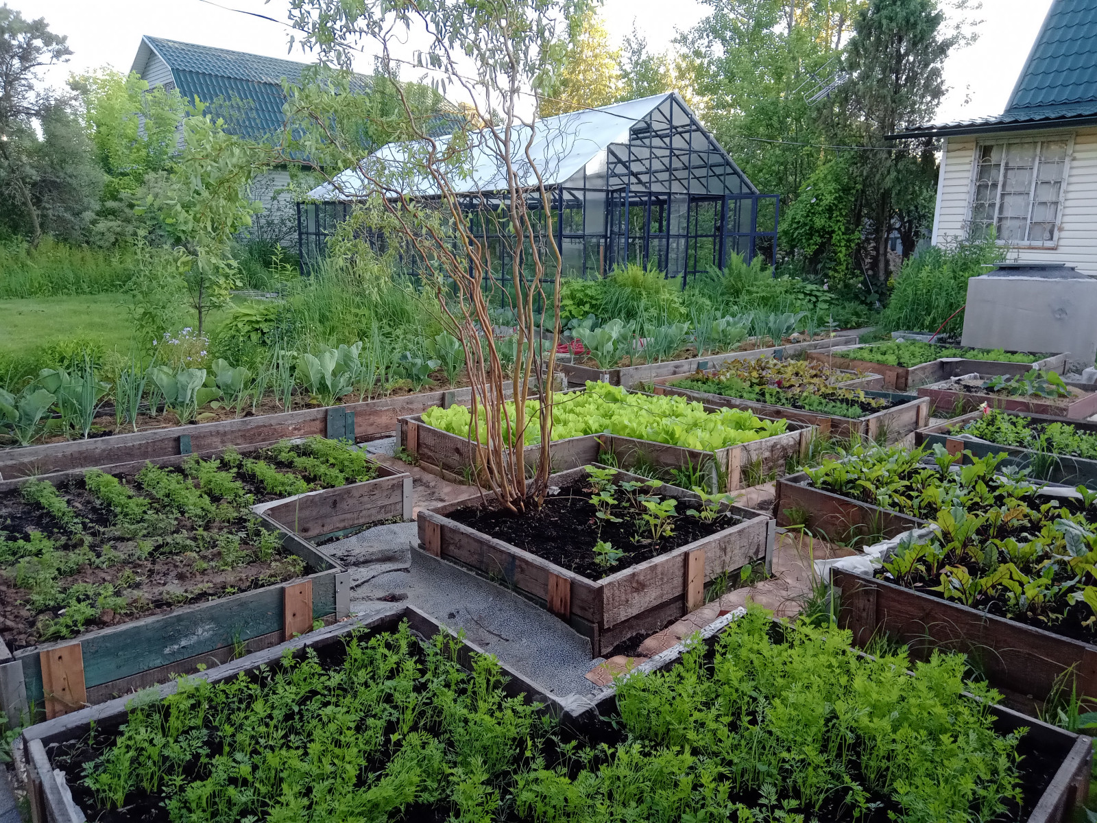 Декоративный огород