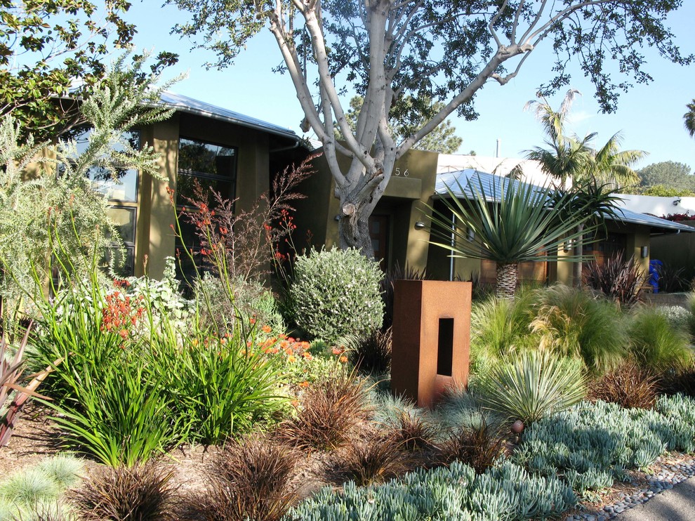 Contemporary front yard garden in San Diego.