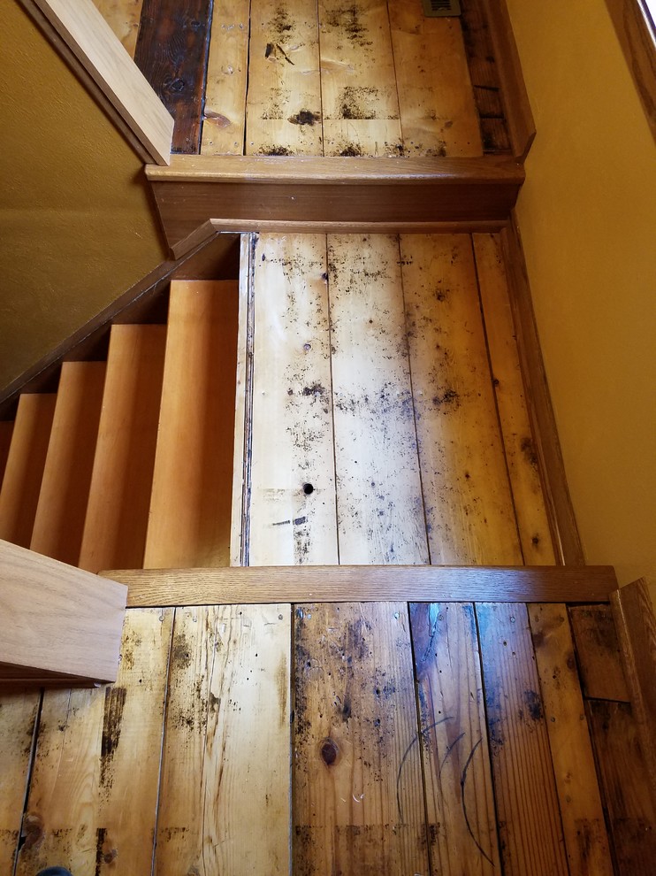 Inspiration for a small rustic guest medium tone wood floor and beige floor home design remodel with yellow walls and no fireplace