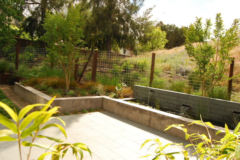 Mid-sized modern backyard formal garden in San Francisco with a water feature.