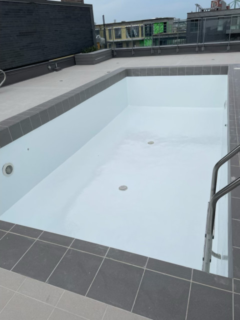 Pool Resurfacing amerikansk-craftsman-pool