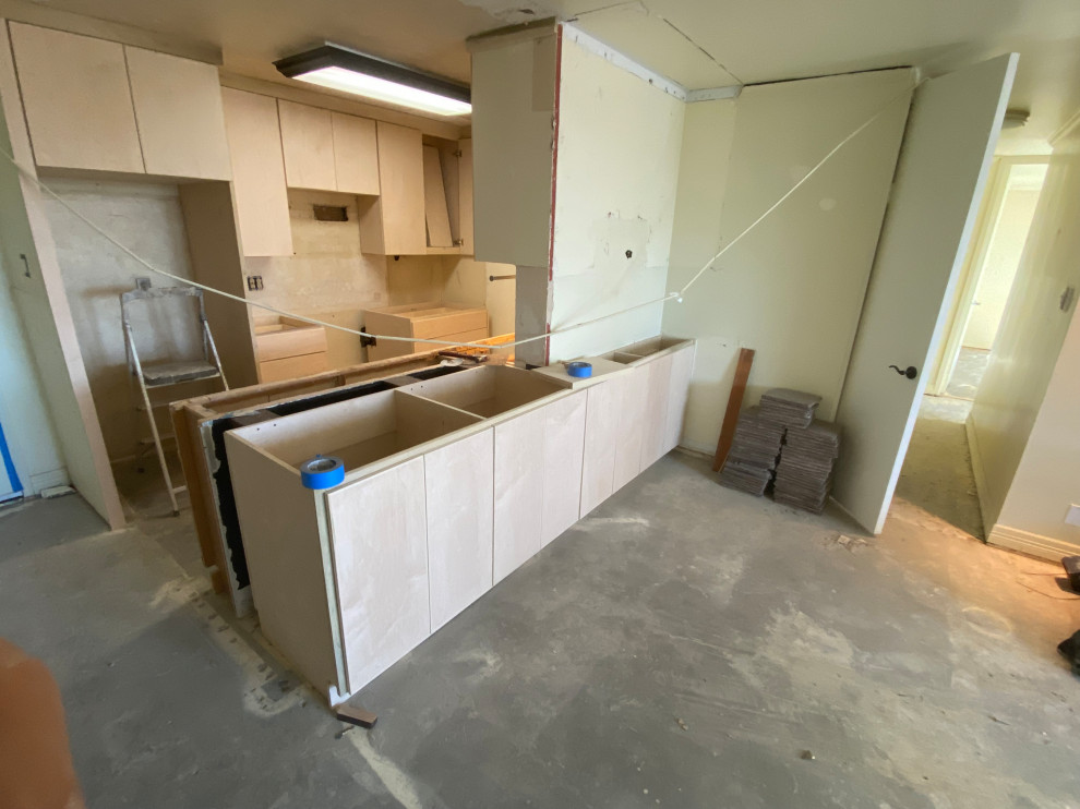 Kitchen and Living Space Remodel