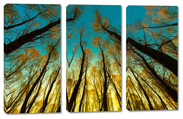 Triptych Wall Art trees in forest canvas print, 3 panel split, triptych wall art Triptych Wall Art trees in forest canvas print, 3 panel split, triptych wall art