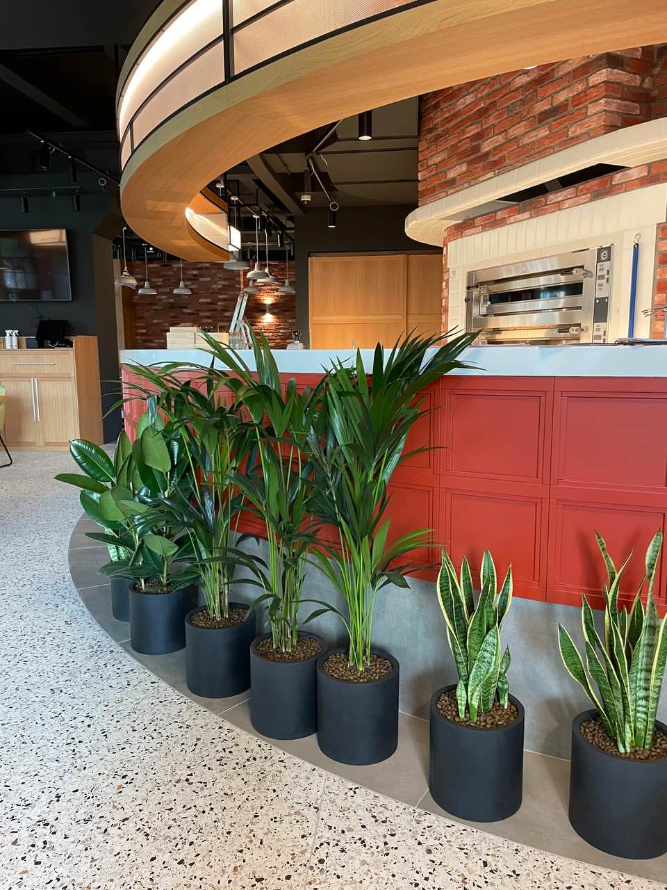 Пиццерия Peperoni г. Санкт-Петербург