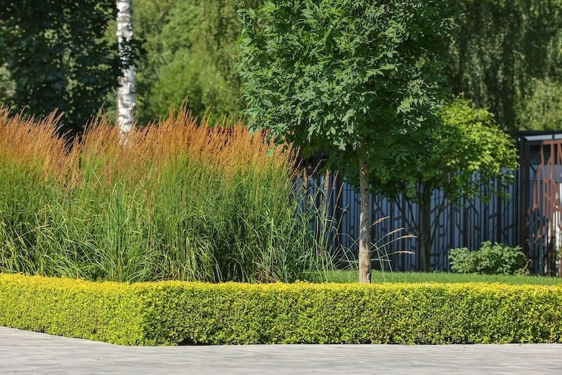 Частный сад "Современный минимализм"