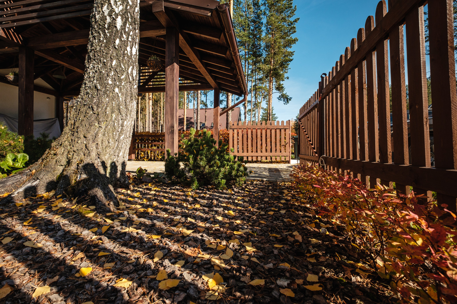 У леса на опушке