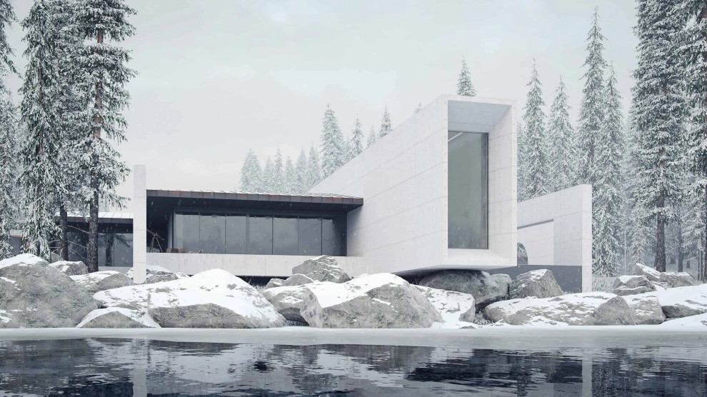Идея дизайна: дом среднего размера в стиле модернизм