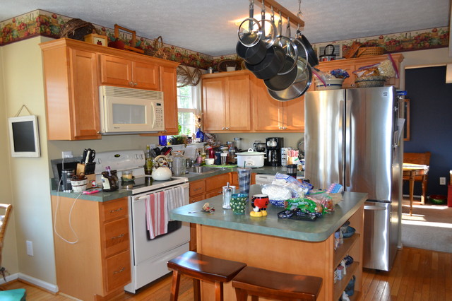 Kitchen Refresh and Upgrade transitional