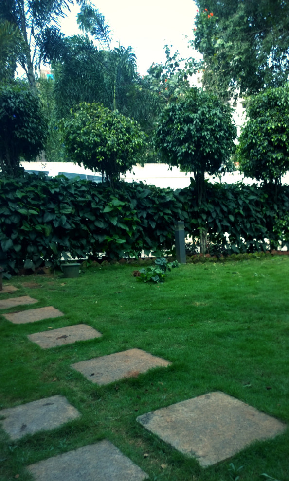 Inspiration for an Indian garden in Bengaluru.