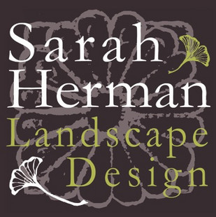 Recenzie krajinného dizajnu Sarah Herman