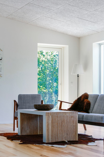 Inspiration modern-living-room