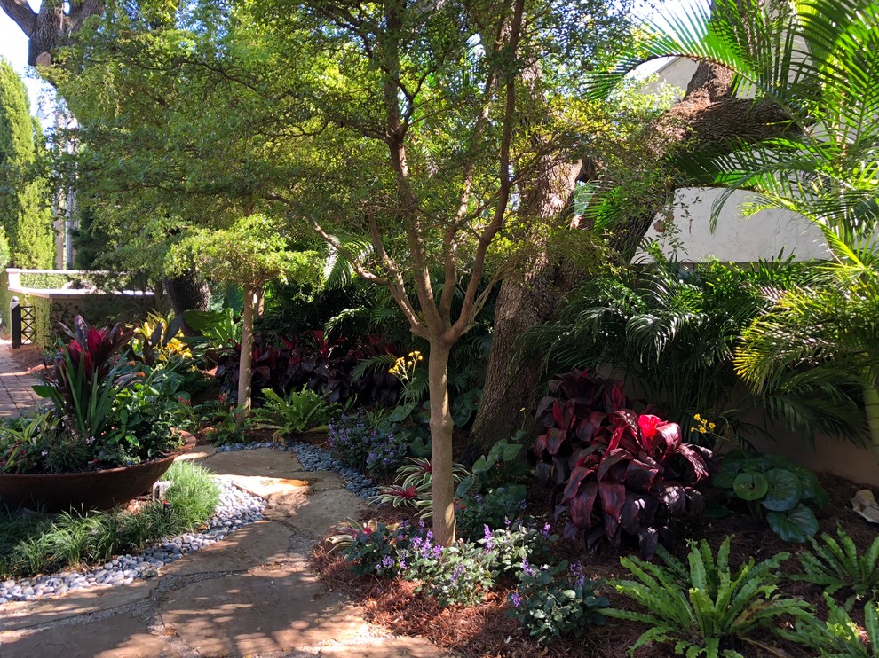 Photo of a small tropical landscaping in Tampa.