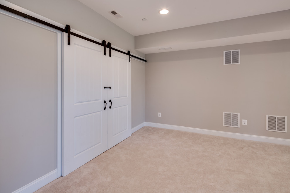 Photo of a large traditional walk-out basement in Baltimore with grey walls, carpet, no fireplace and beige floor.