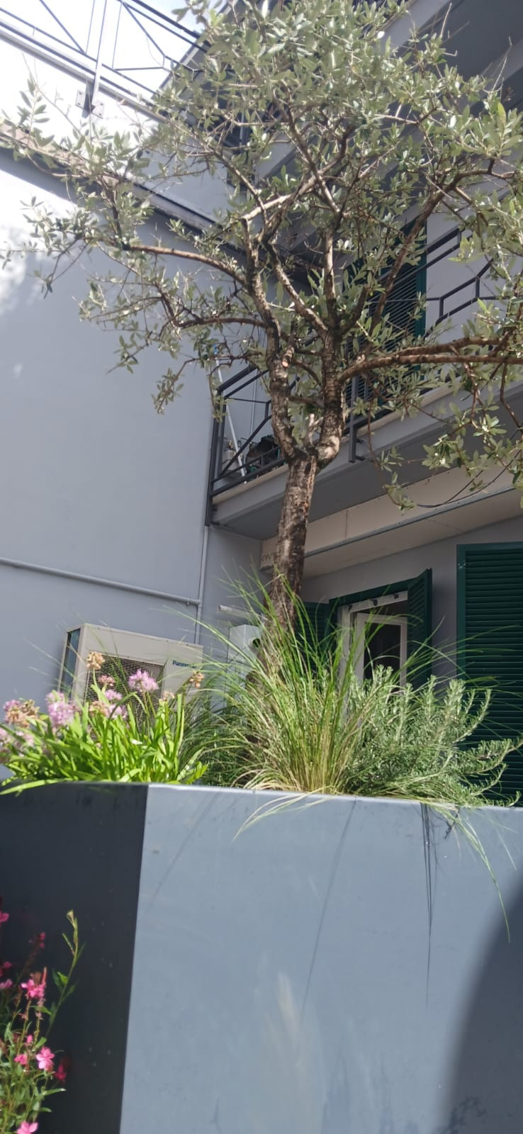 Realizzazione Terrazza dai sapori mediterranei