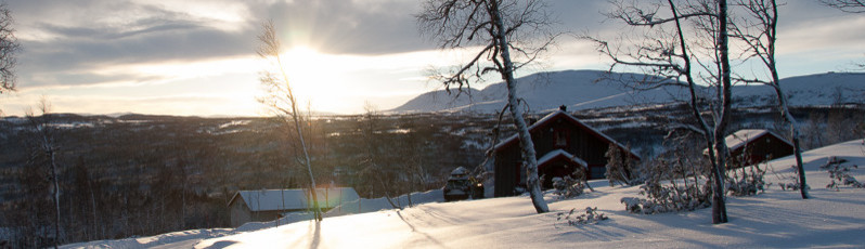 Land och fjäll fastighetsförmedling frösön, se 83244