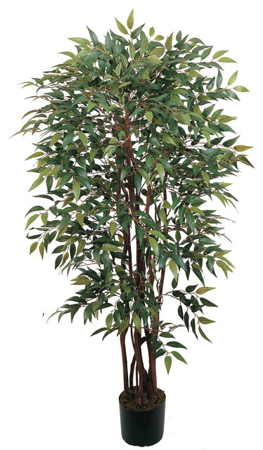 4' Similax Silk Tree
