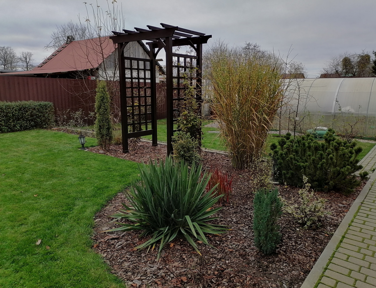 Подборка фотографий