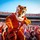 lori_gosnell