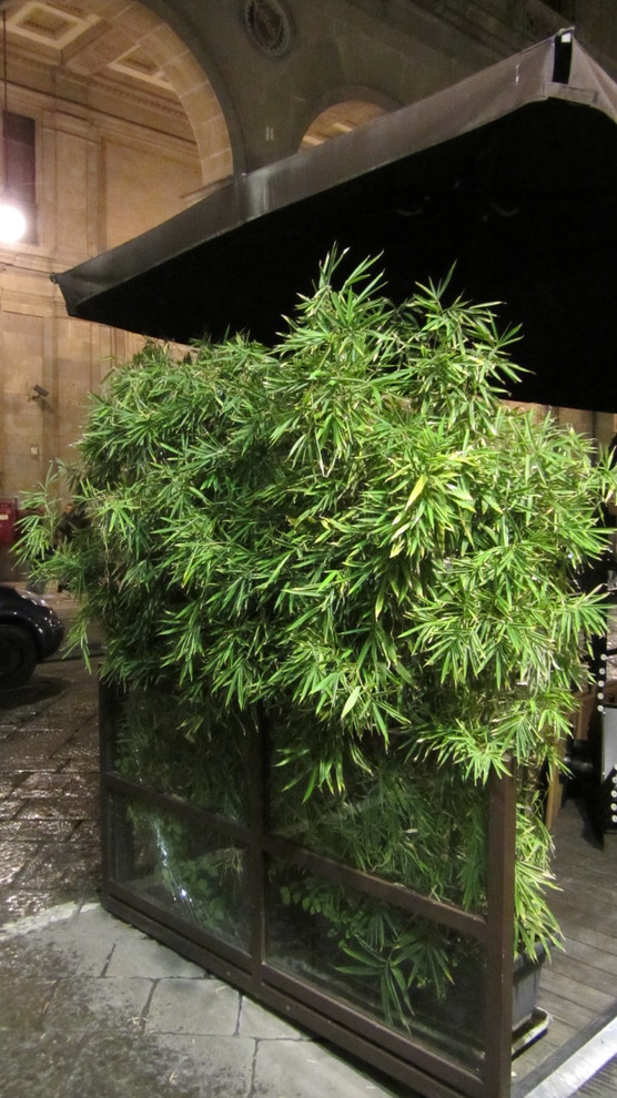 Городское озеленение