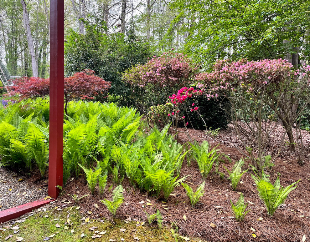 This is an example of an asian landscaping in Charlotte.