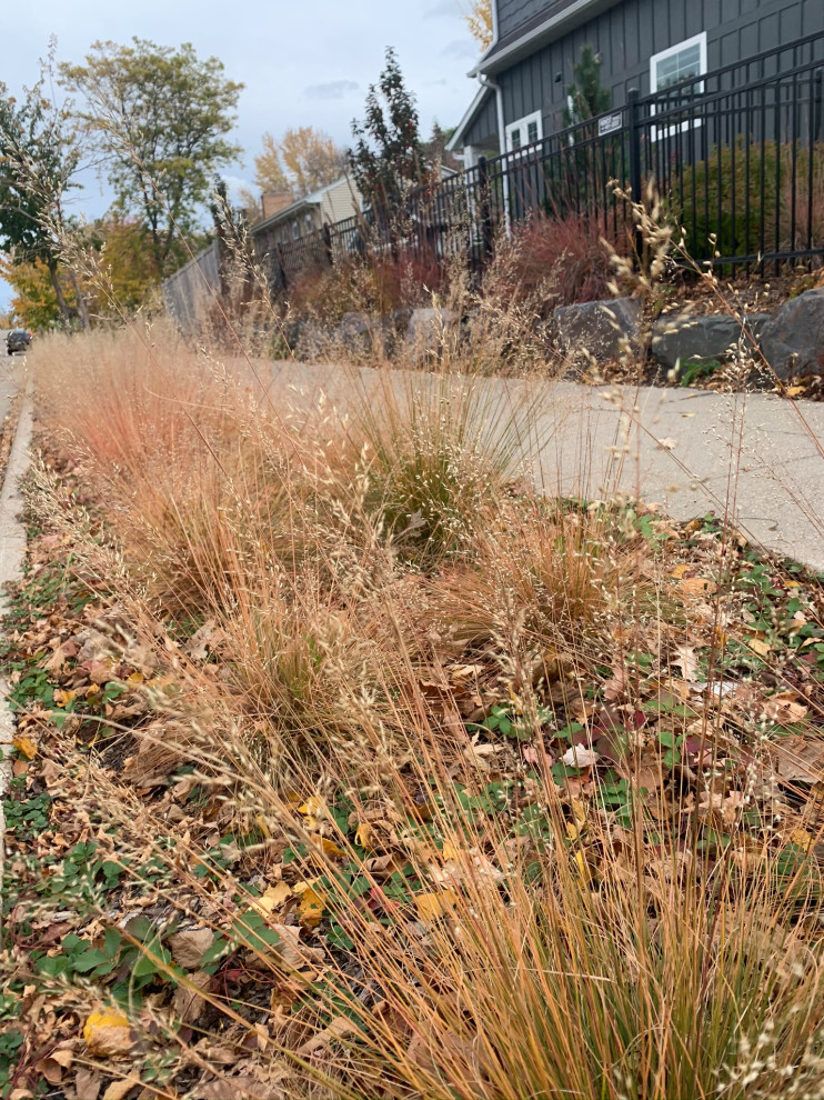 Minneapolis Functional Landscape