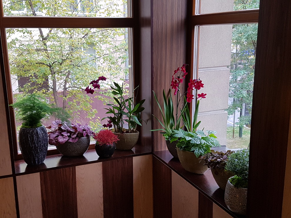 ресторан Аист на Малой Бронной