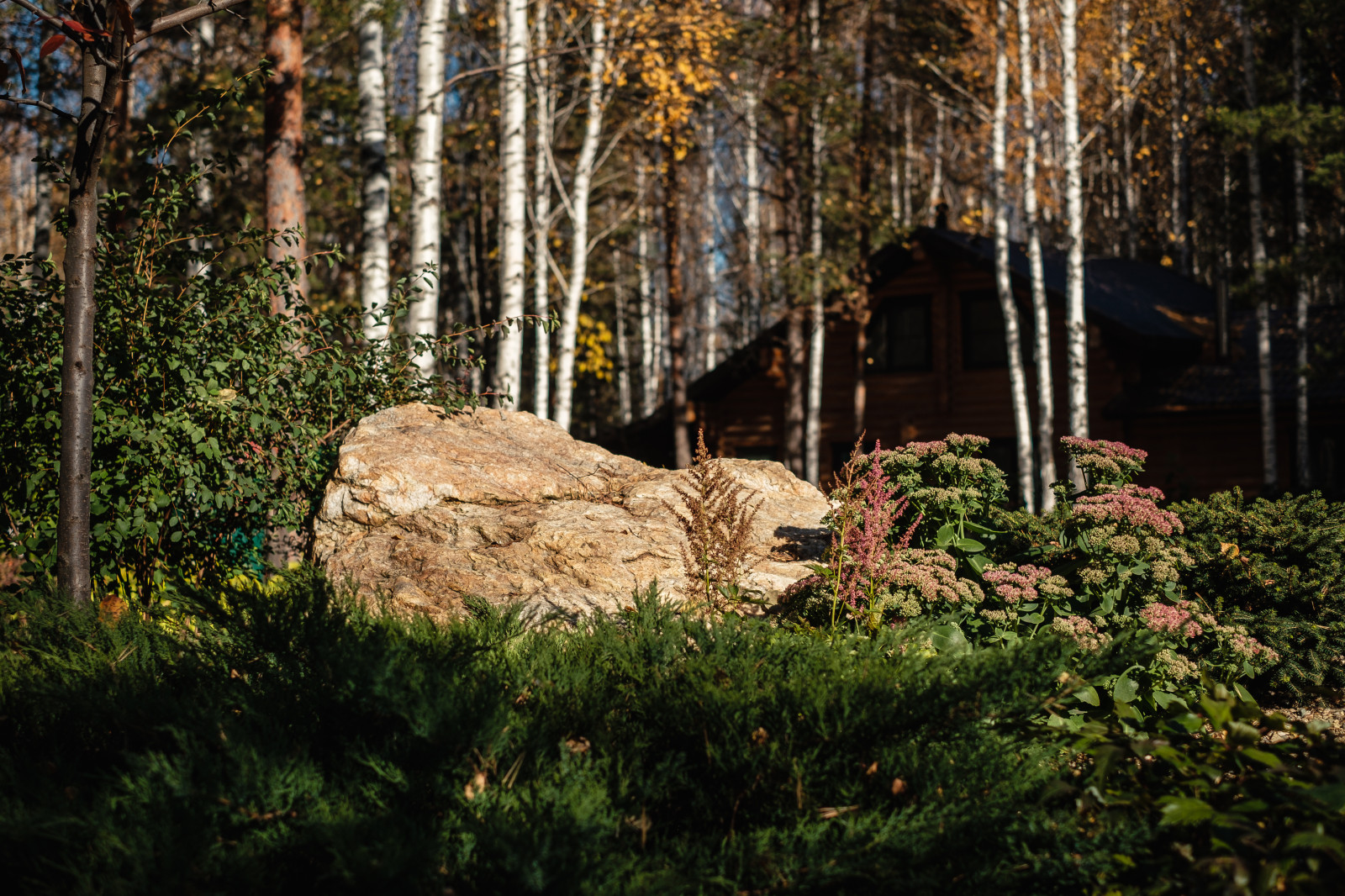 У леса на опушке