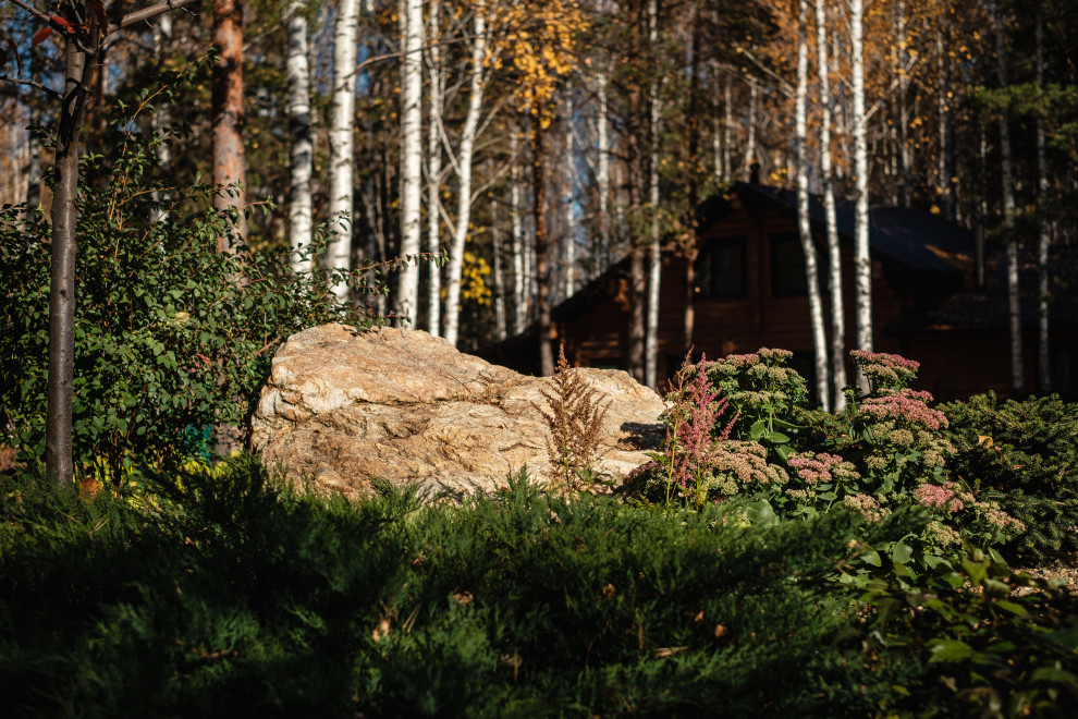 У леса на опушке