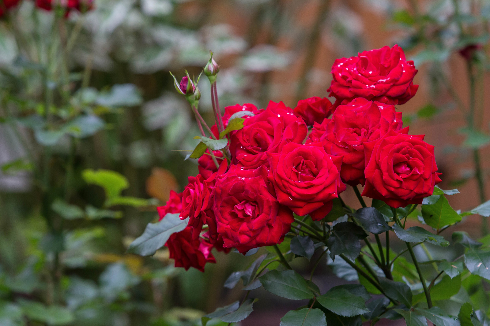 Благородство в деталях