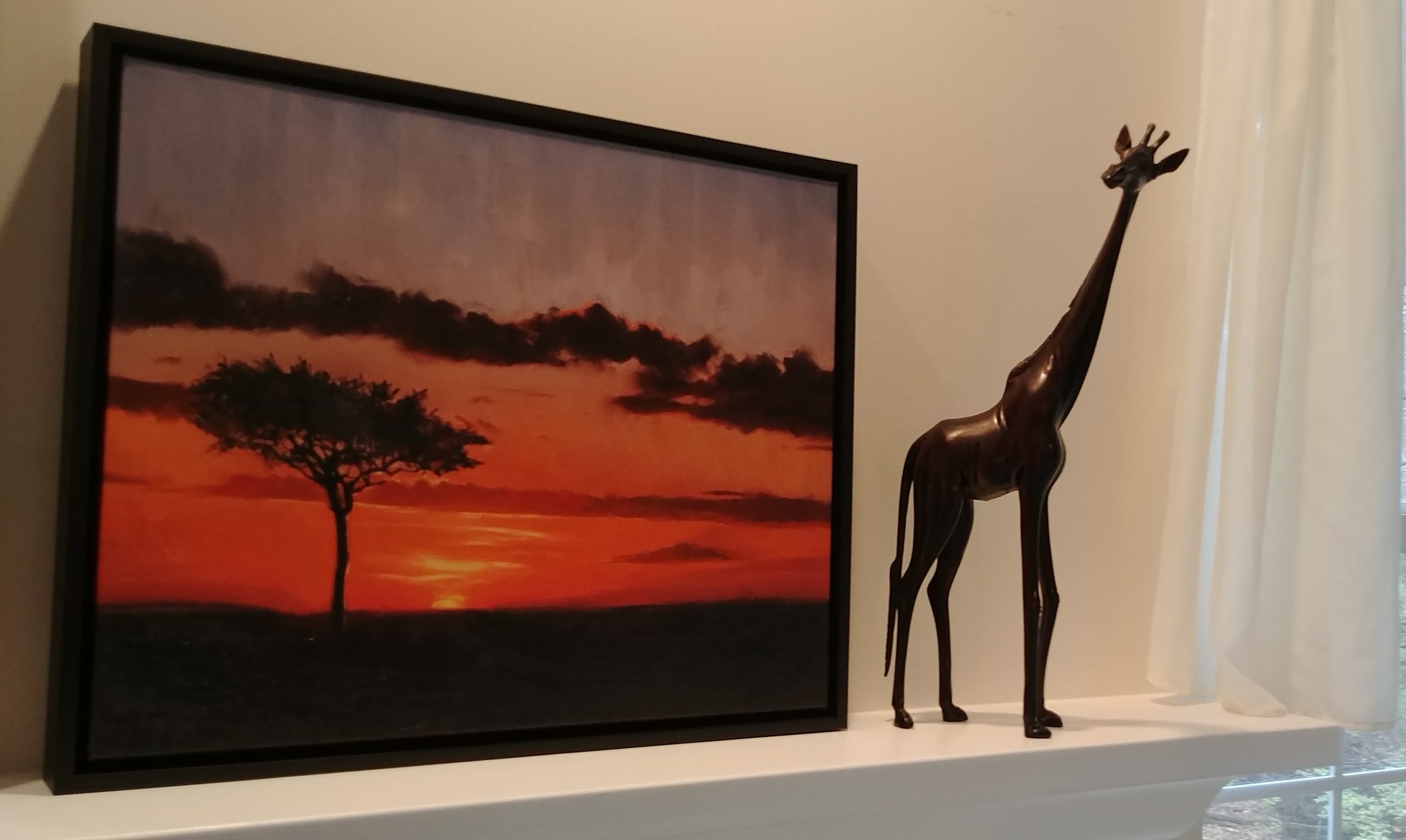 Plains of Serengeti