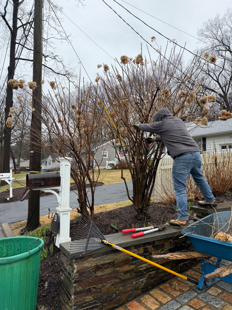 Fine Gardening