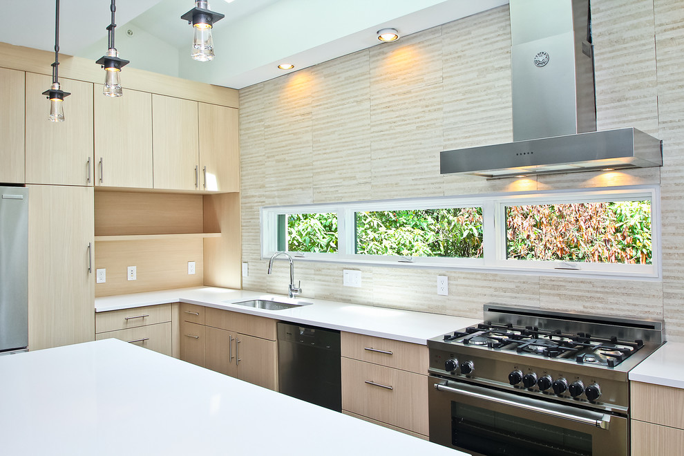 Bethesda Modern kitchen