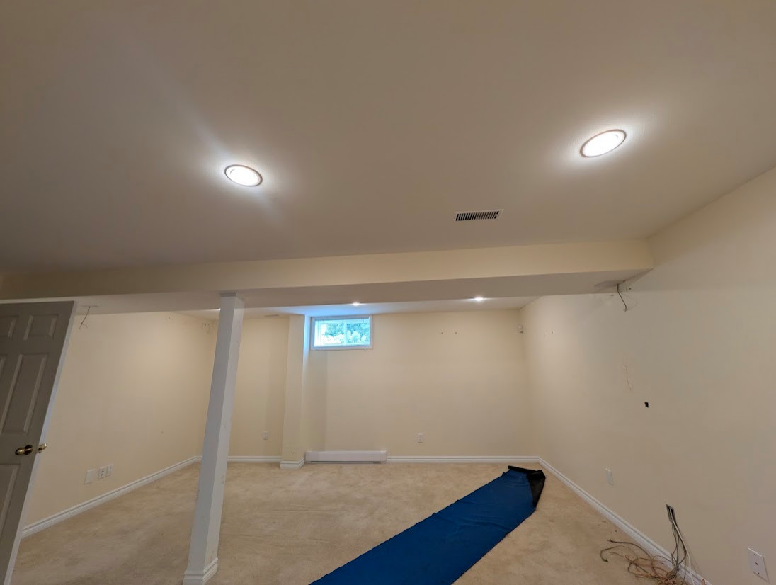 Basement Design+Build - Painting