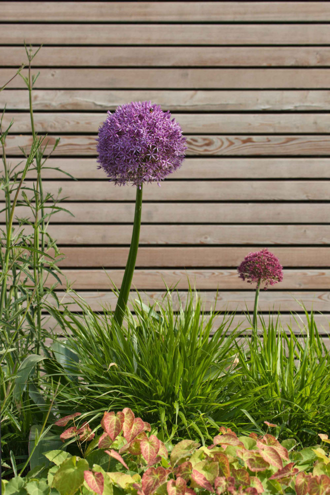 Immagine di un giardino nordico di medie dimensioni e davanti casa in primavera