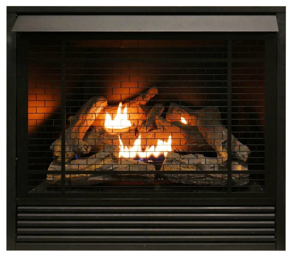 Duluth Forge Dual Fuel Ventless Gas Fireplace Insert 32 000 Btu