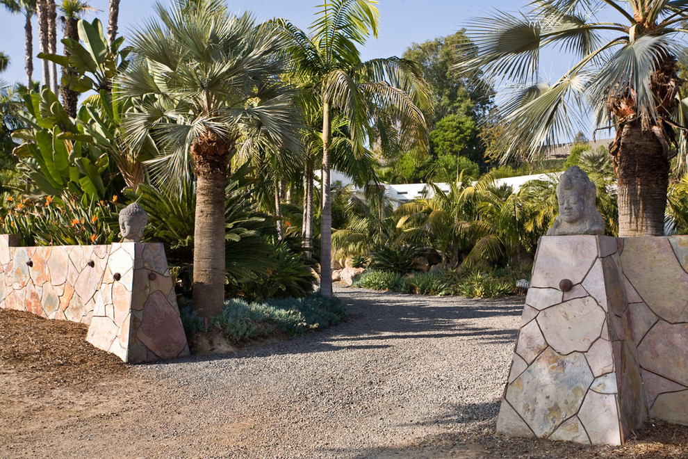 Design ideas for a tropical landscaping in San Diego.