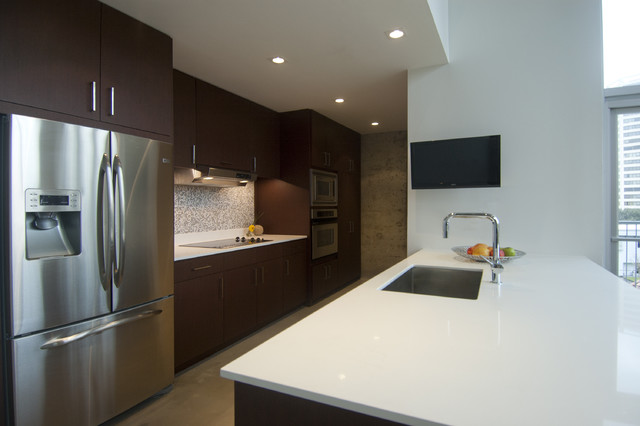 Phan Loft contemporary-kitchen