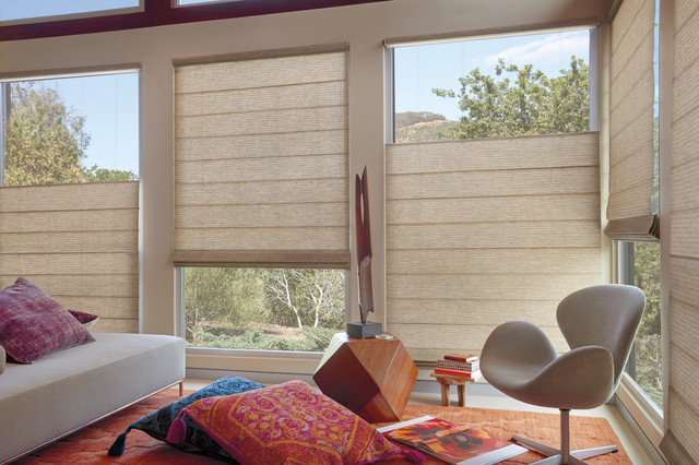 Houzz Window Treatments For Living Room