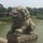 firefox_1